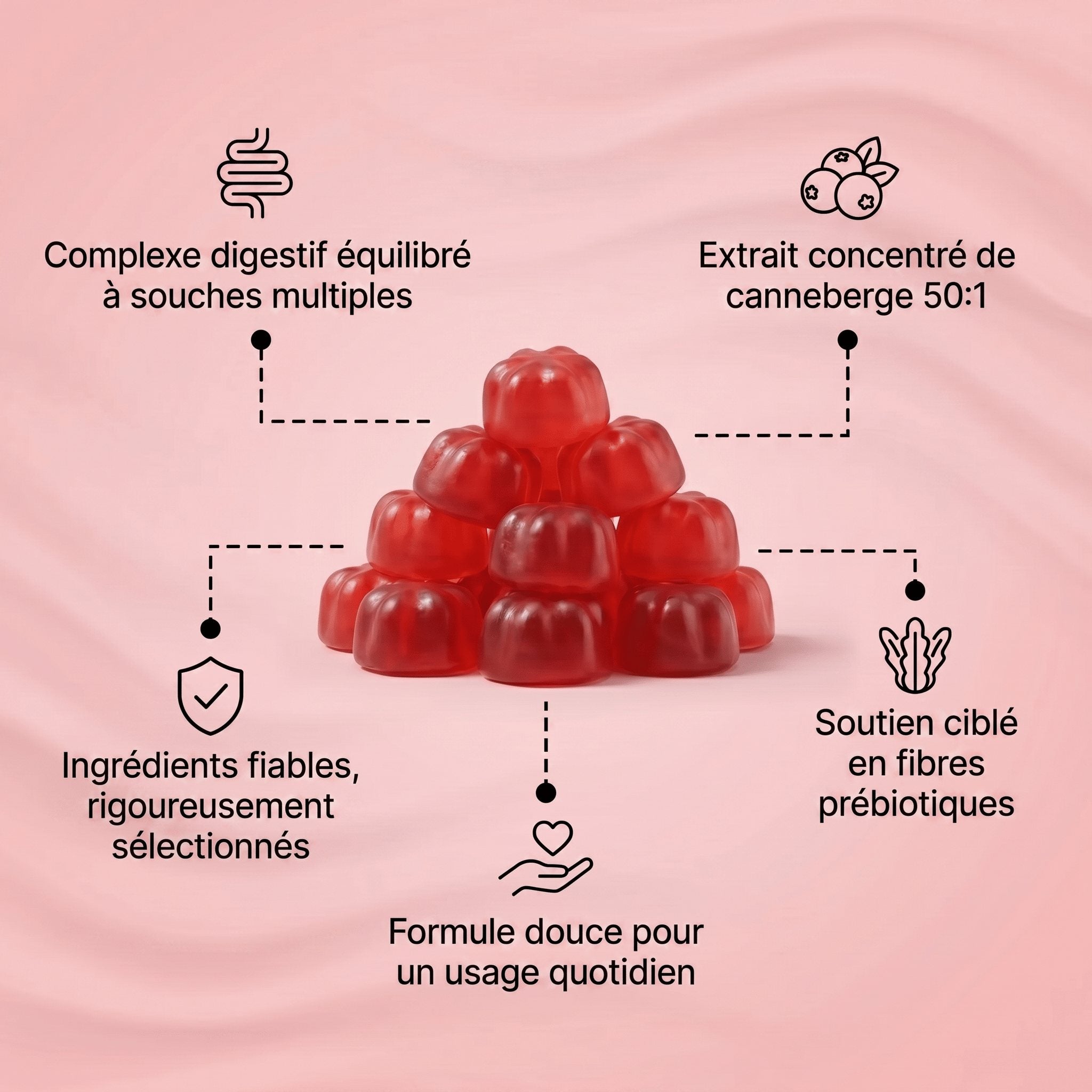 Gummies à la cranberry | Formule de protection urinaire et rénale - Leevna France