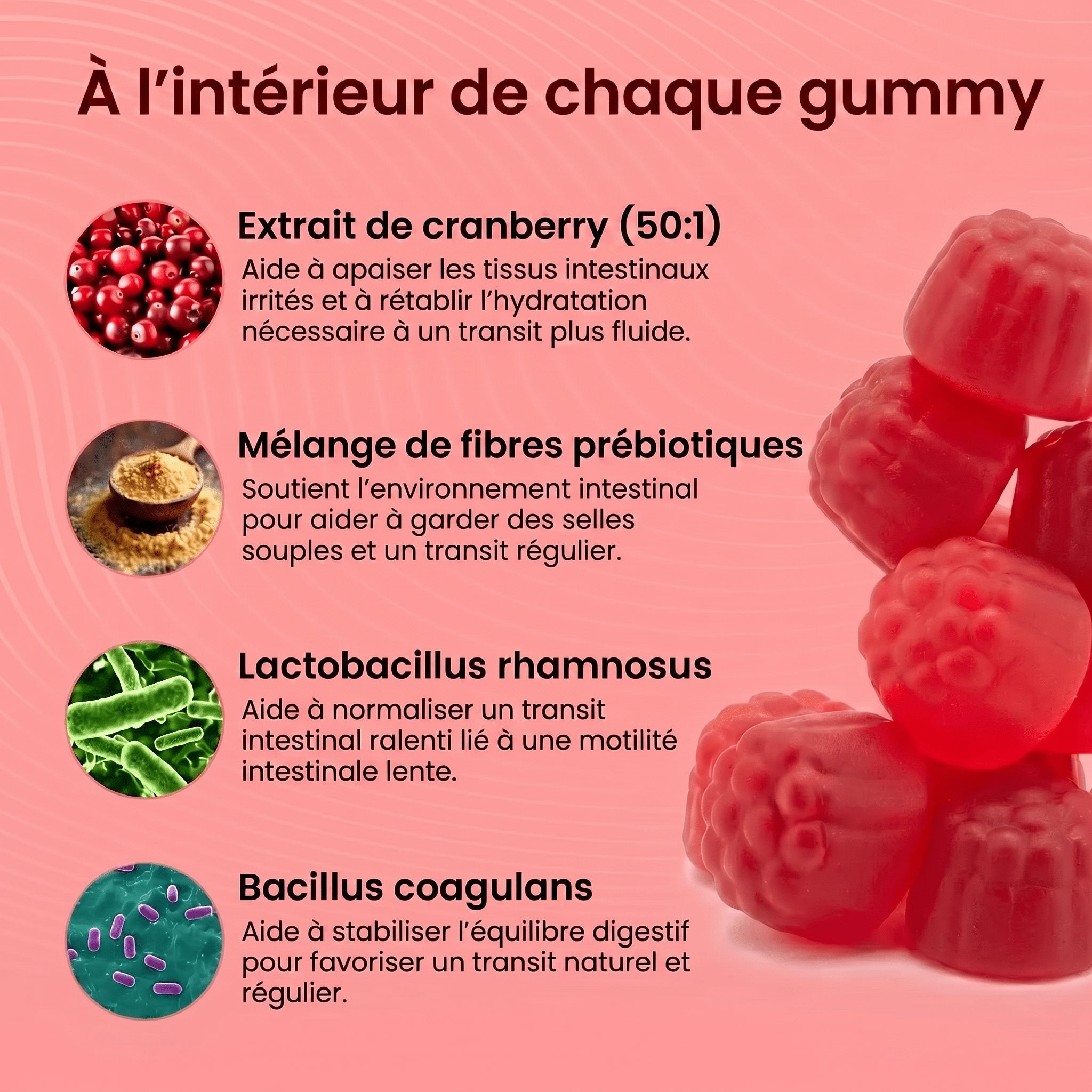 Gummies à la cranberry | Formule de protection urinaire et rénale - Leevna France