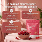Gummies à la canneberge V2
