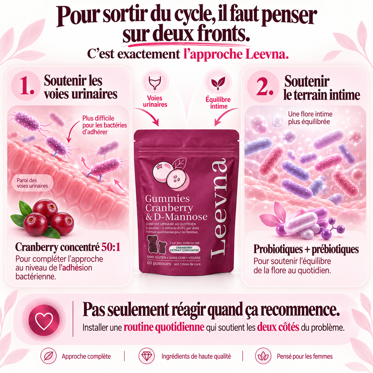 Gummies à la canneberge