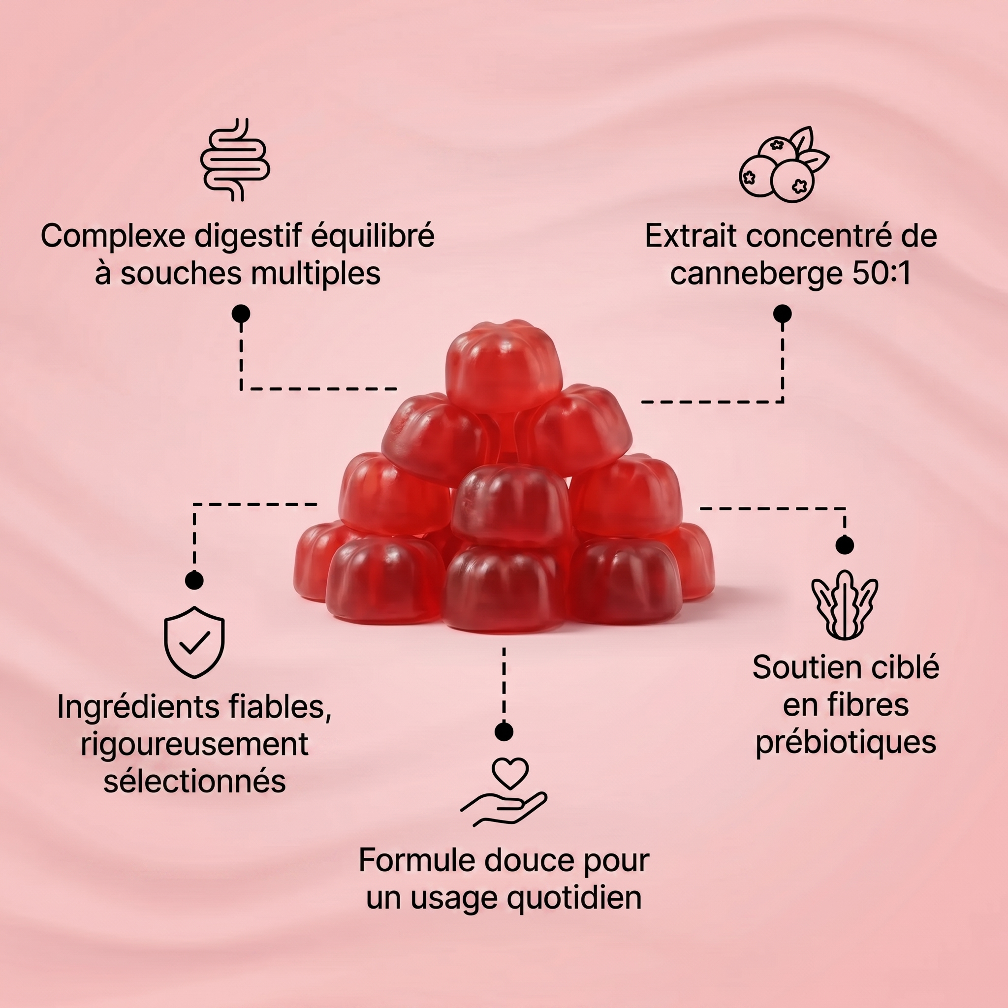 Gummies à la canneberge | Formule de protection urinaire et rénale