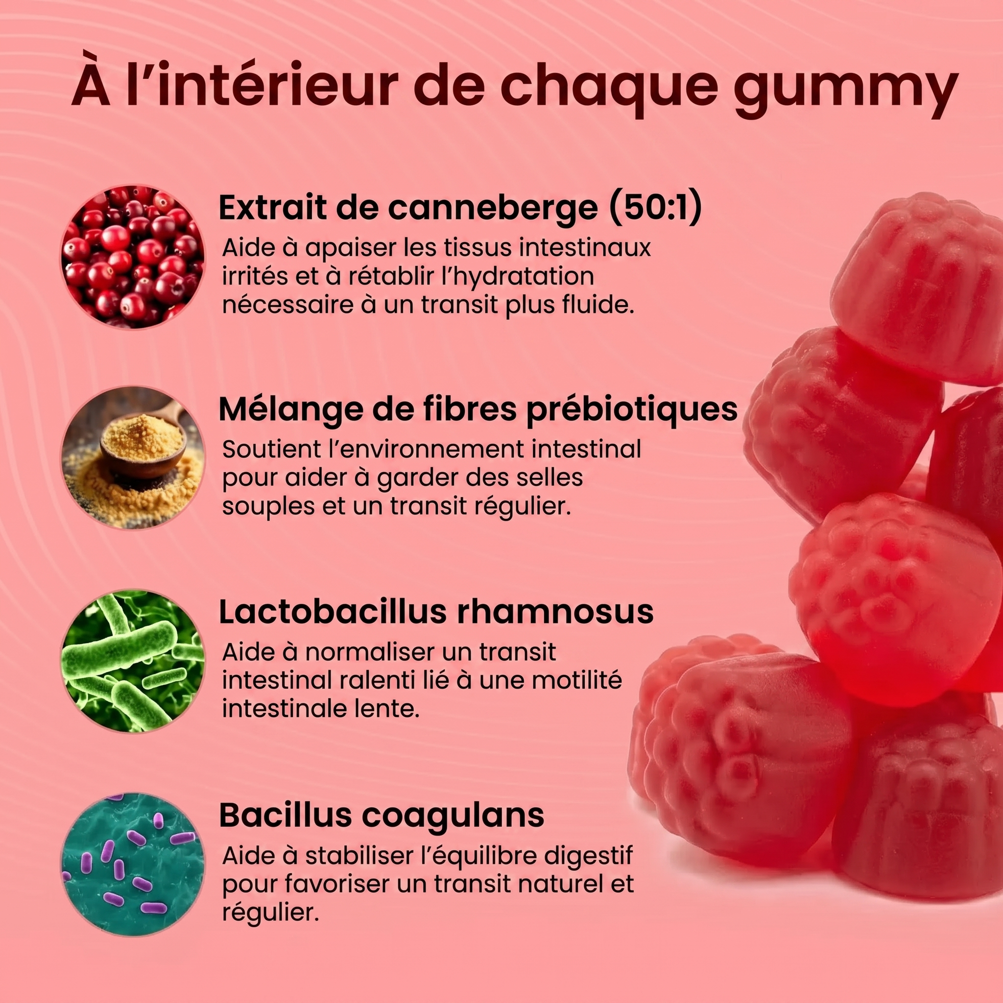 Gummies à la canneberge | Formule de protection urinaire et rénale